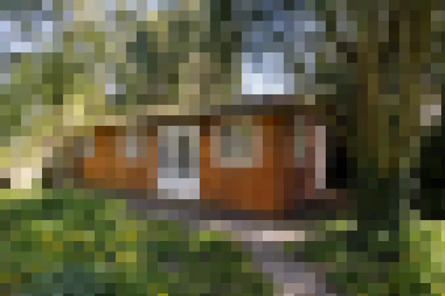 Fivelweg 75 Zijldijk thumbnail 12