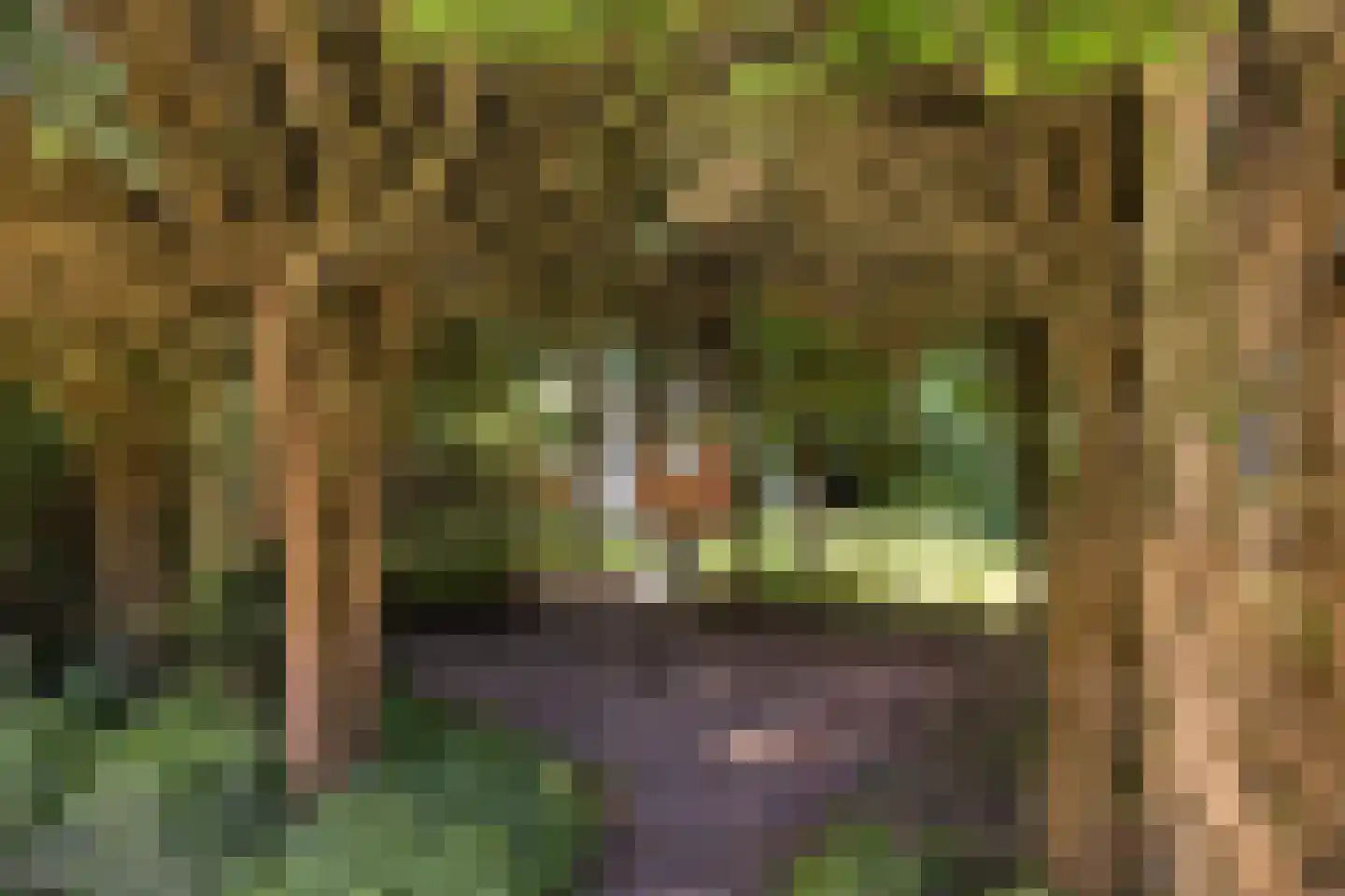Fivelweg 75 Zijldijk thumbnail 13