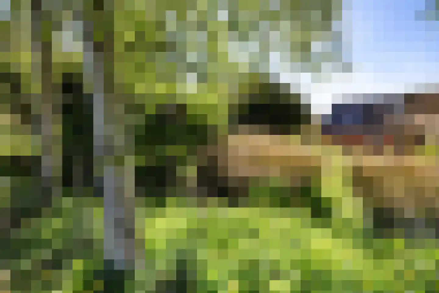 Fivelweg 75 Zijldijk thumbnail 14