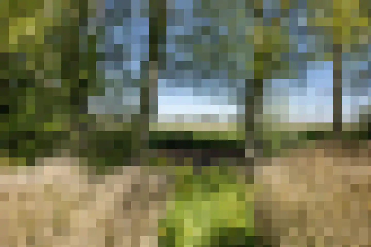 Fivelweg 75 Zijldijk thumbnail 16
