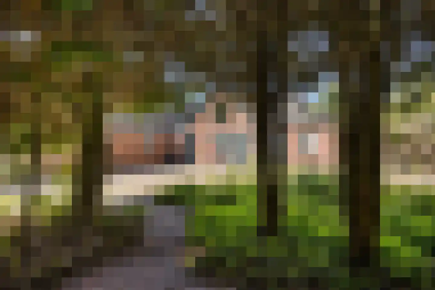 Fivelweg 75 Zijldijk thumbnail 21