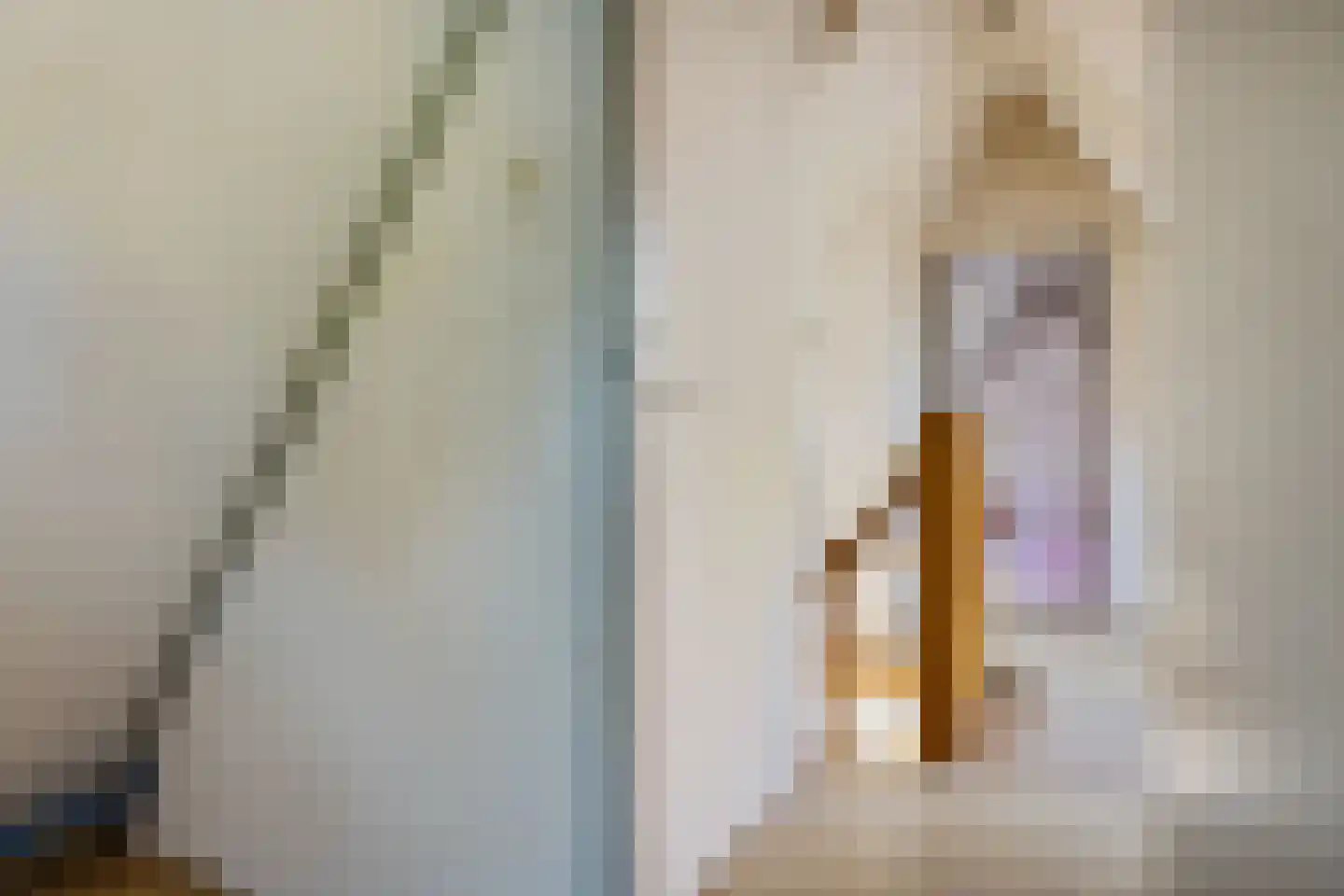 Fivelweg 75 Zijldijk thumbnail 25