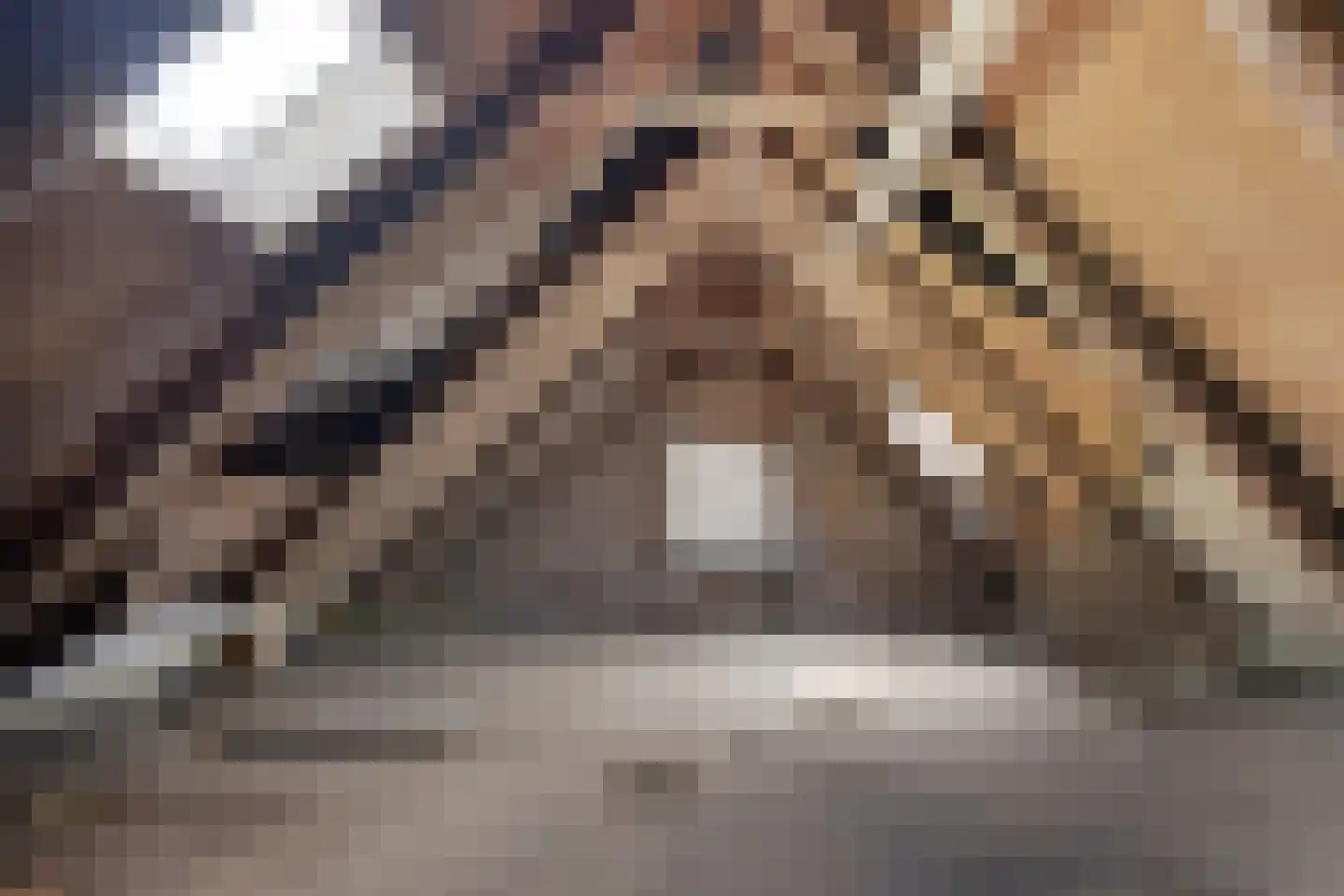Fivelweg 75 Zijldijk thumbnail 30