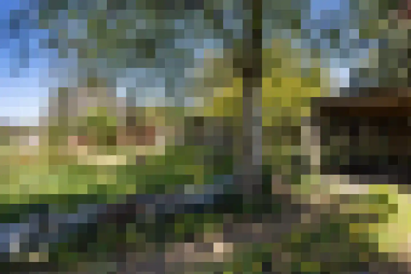 Fivelweg 75 Zijldijk thumbnail 53