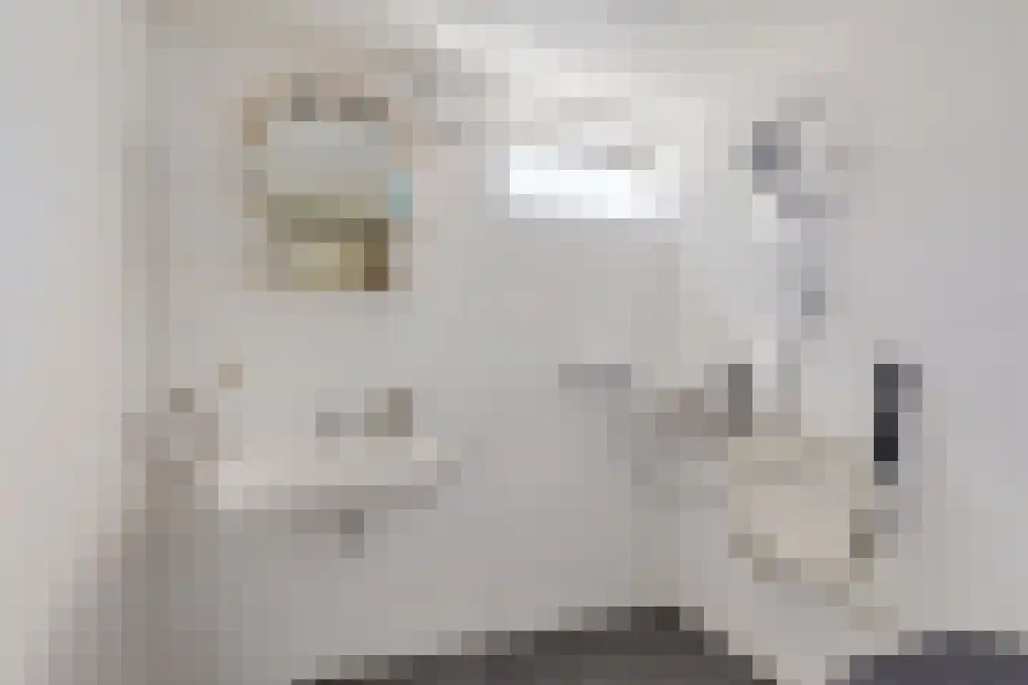 Fivershôf 4 Ie thumbnail 13