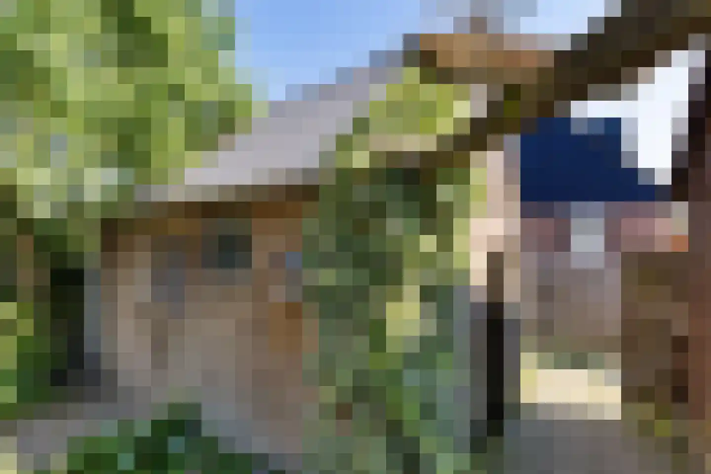 Fivershôf 4 Ie thumbnail 34