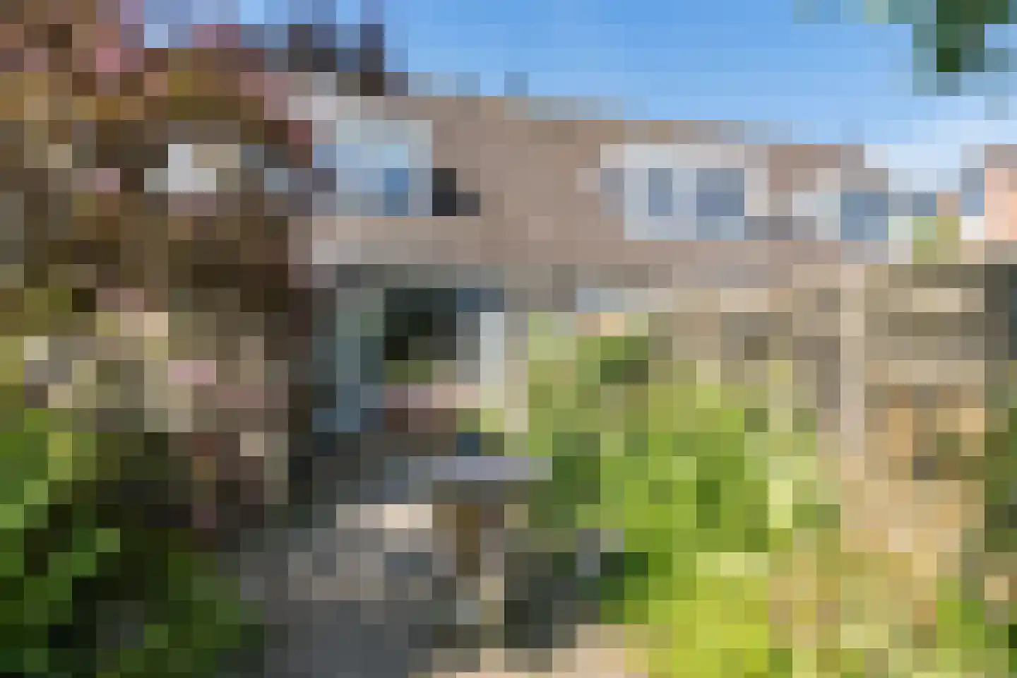 Fivershôf 4 Ie thumbnail 8
