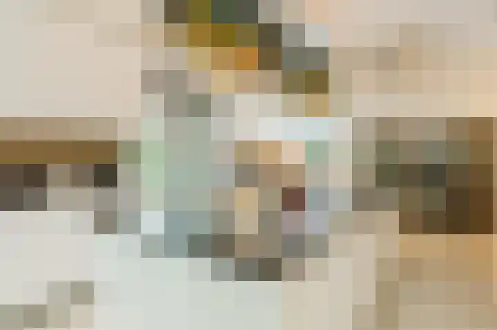 Fjelddal 11 Schiedam thumbnail 19