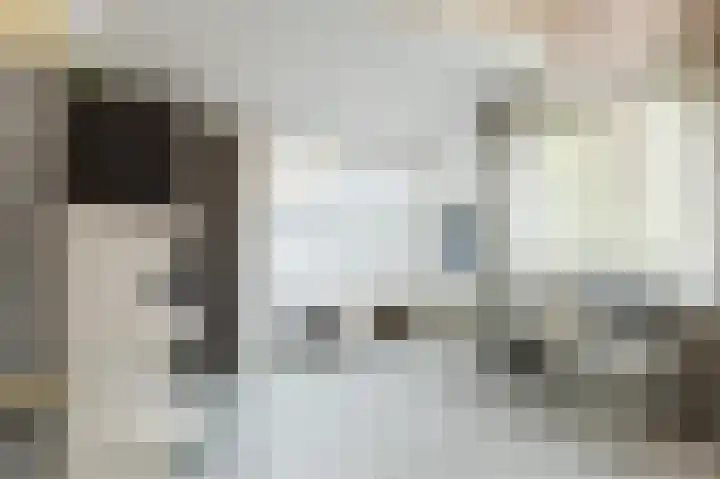 Fjelddal 11 Schiedam thumbnail 35