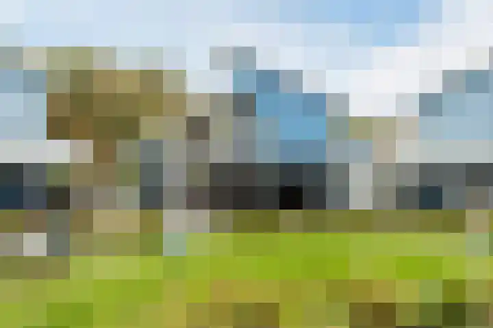 Fjelddal 11 Schiedam thumbnail 5
