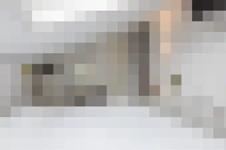 Fjelddal 11 Schiedam thumbnail 52