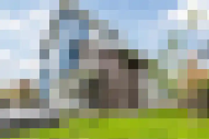 Fjelddal 11 Schiedam thumbnail 6