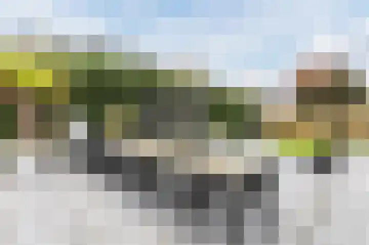 Fjelddal 11 Schiedam thumbnail 63