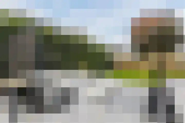 Fjelddal 11 Schiedam thumbnail 64