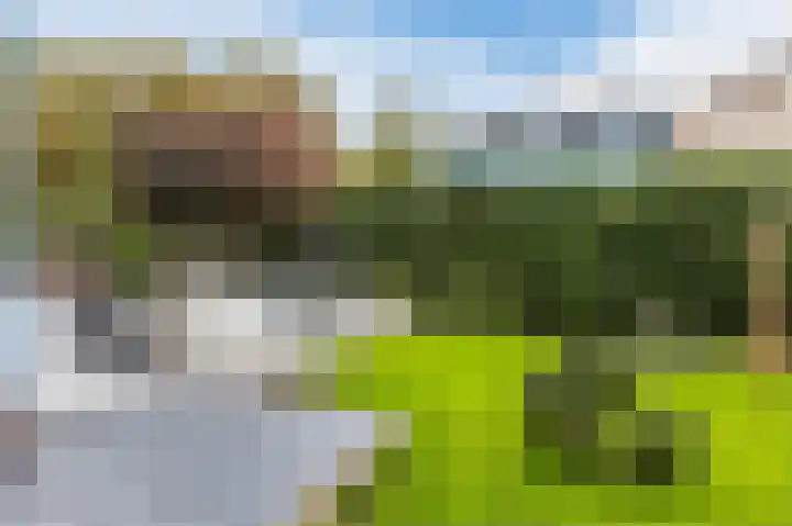 Fjelddal 11 Schiedam thumbnail 65