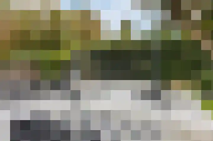 Fjelddal 11 Schiedam thumbnail 66