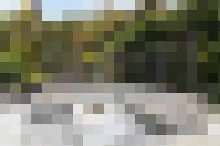 Fjelddal 11 Schiedam thumbnail 67