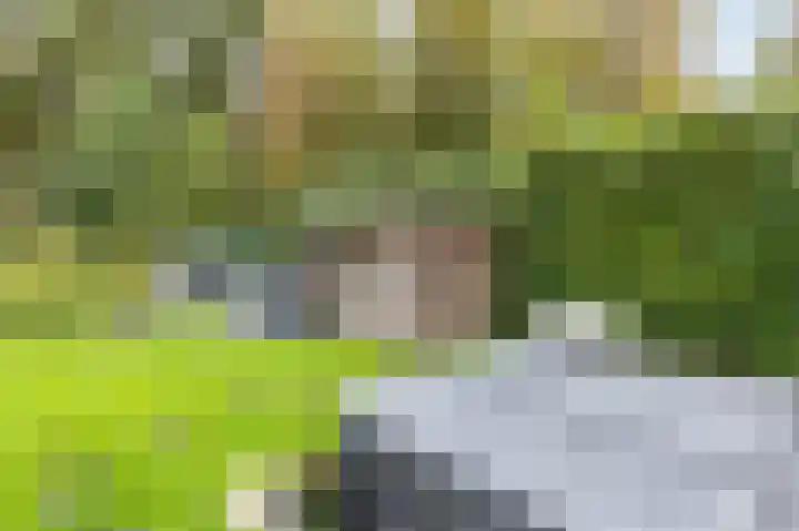 Fjelddal 11 Schiedam thumbnail 68