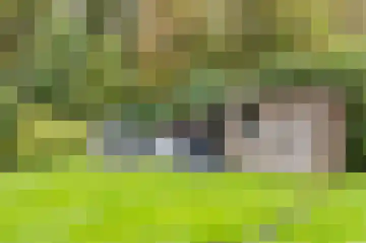 Fjelddal 11 Schiedam thumbnail 69