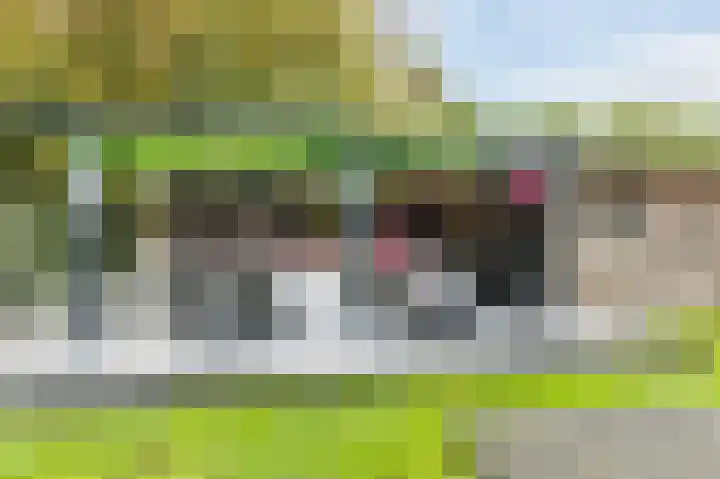Fjelddal 11 Schiedam thumbnail 70