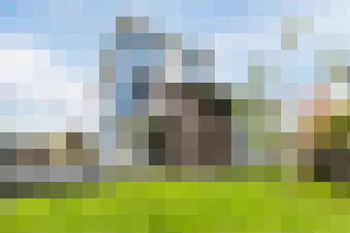 Fjelddal 11 Schiedam thumbnail 72