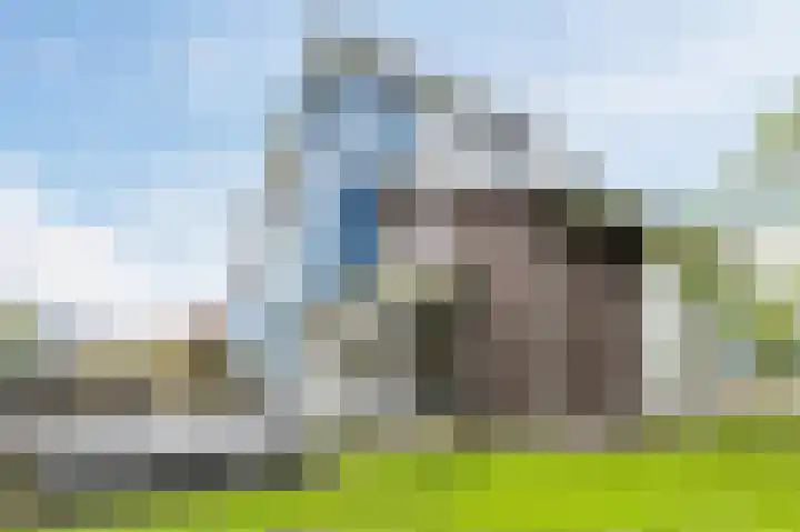 Fjelddal 11 Schiedam thumbnail 73