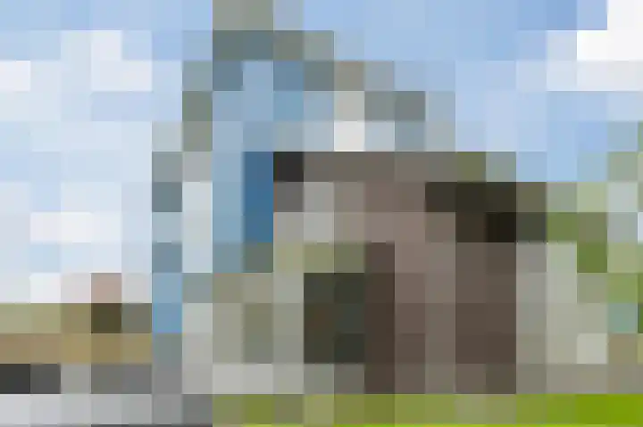 Fjelddal 11 Schiedam thumbnail 74