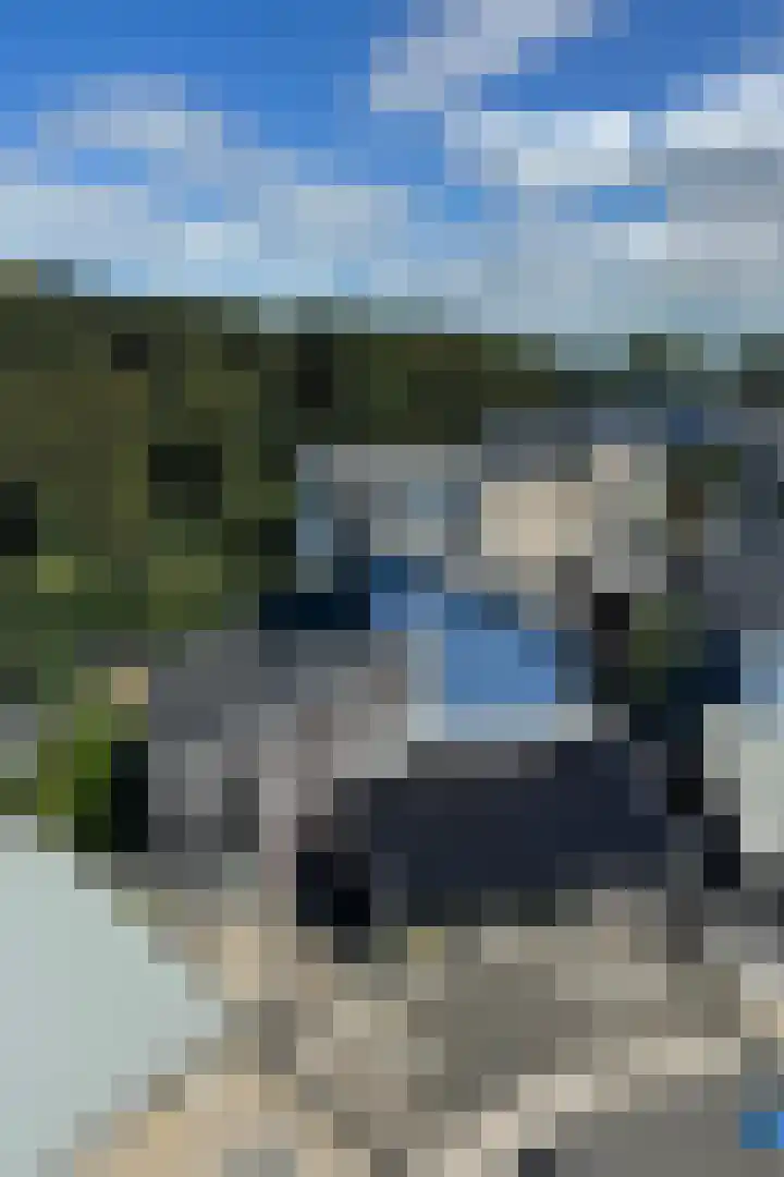 Fjelddal 11 Schiedam thumbnail 8