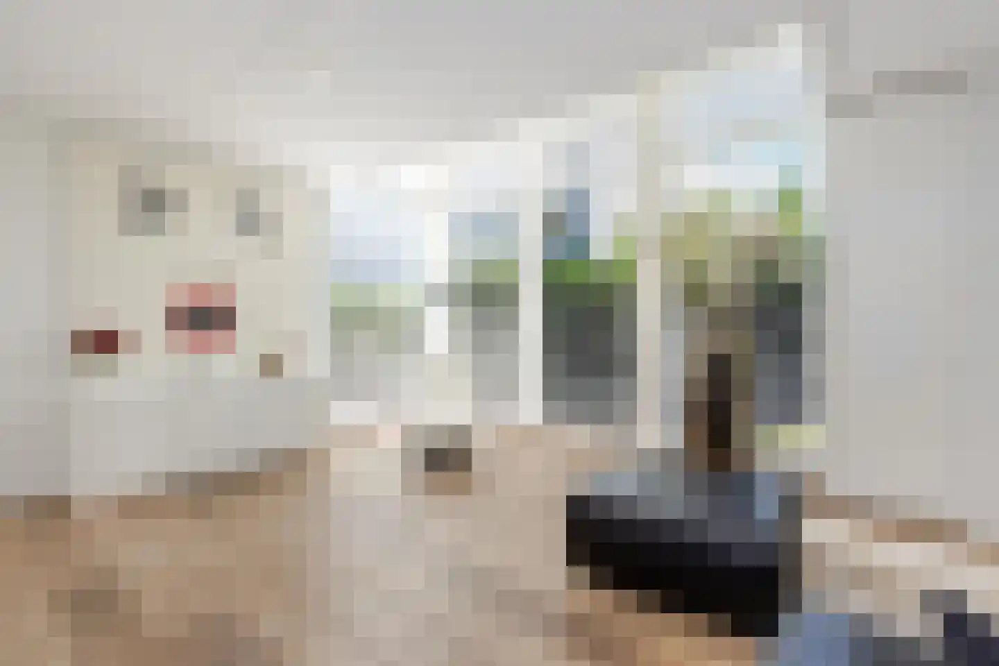 Fjelddal 9 Schiedam thumbnail 18