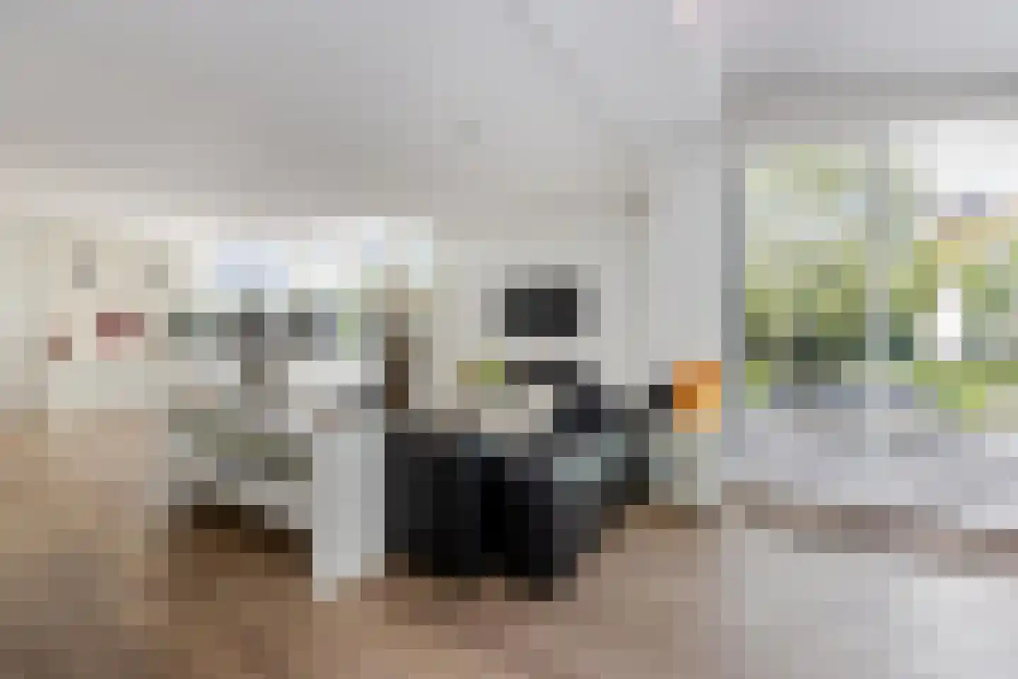 Fjelddal 9 Schiedam thumbnail 20