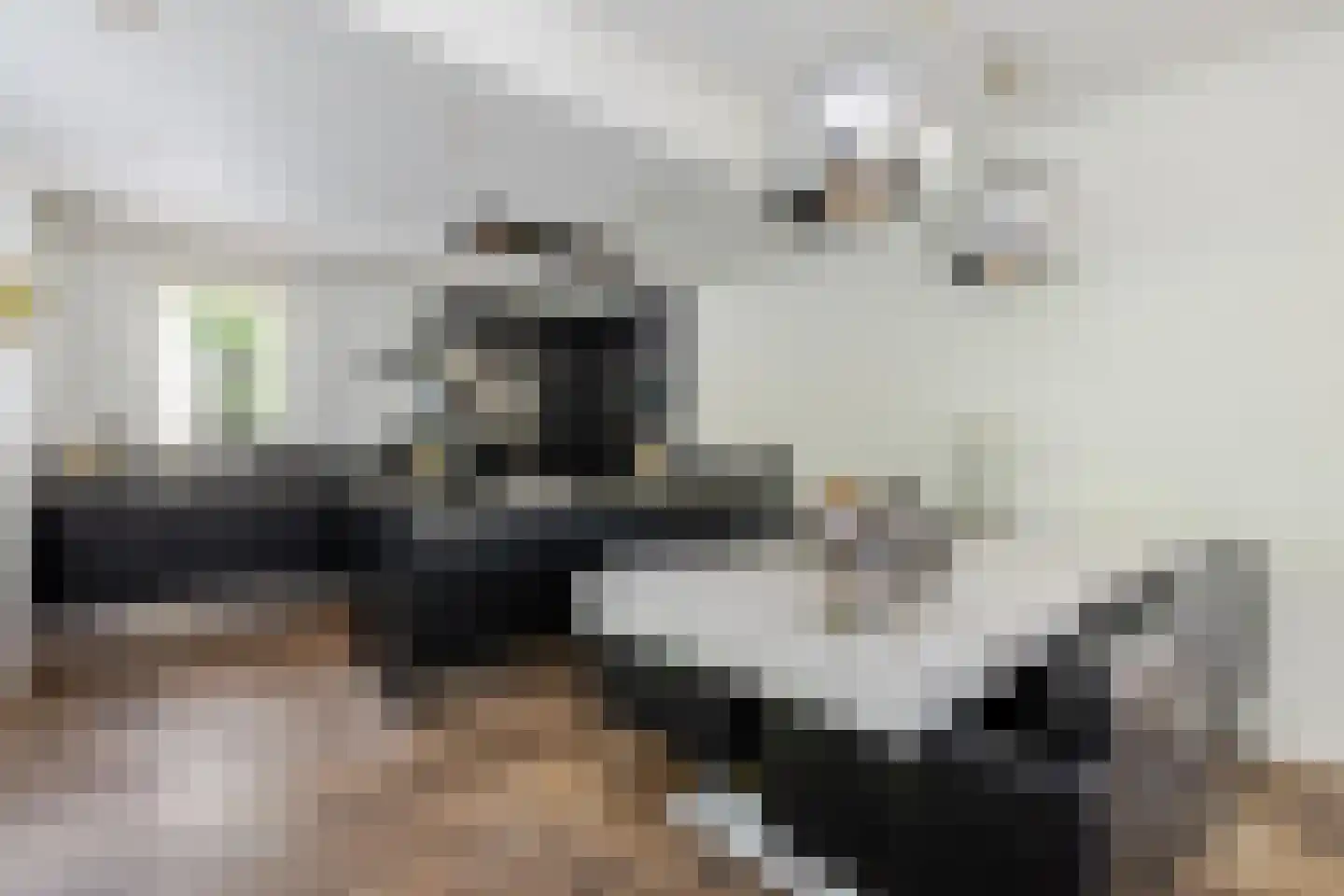 Fjelddal 9 Schiedam thumbnail 25