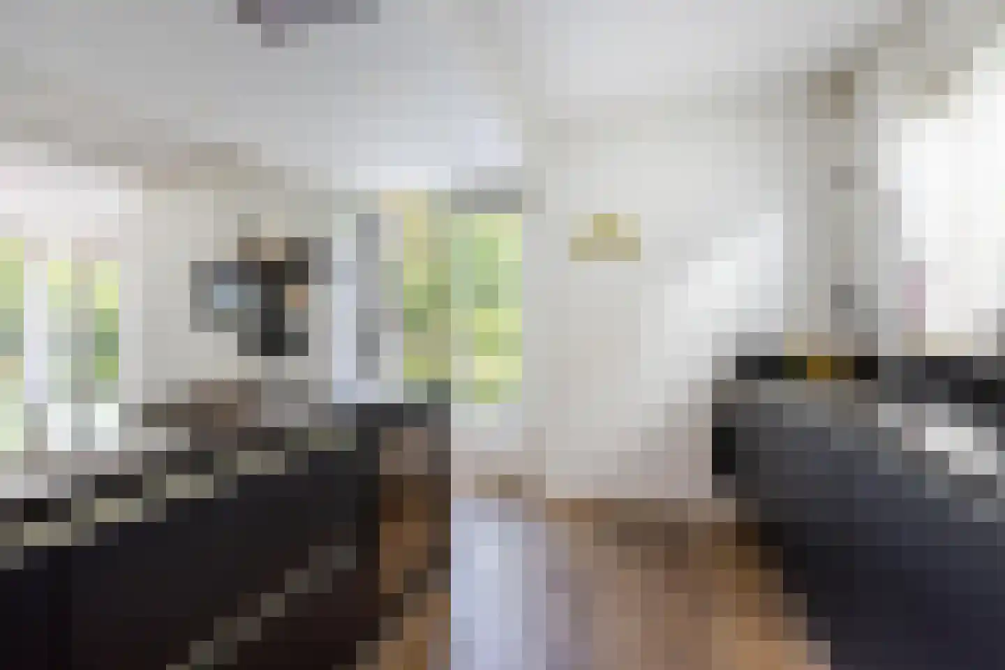 Fjelddal 9 Schiedam thumbnail 28
