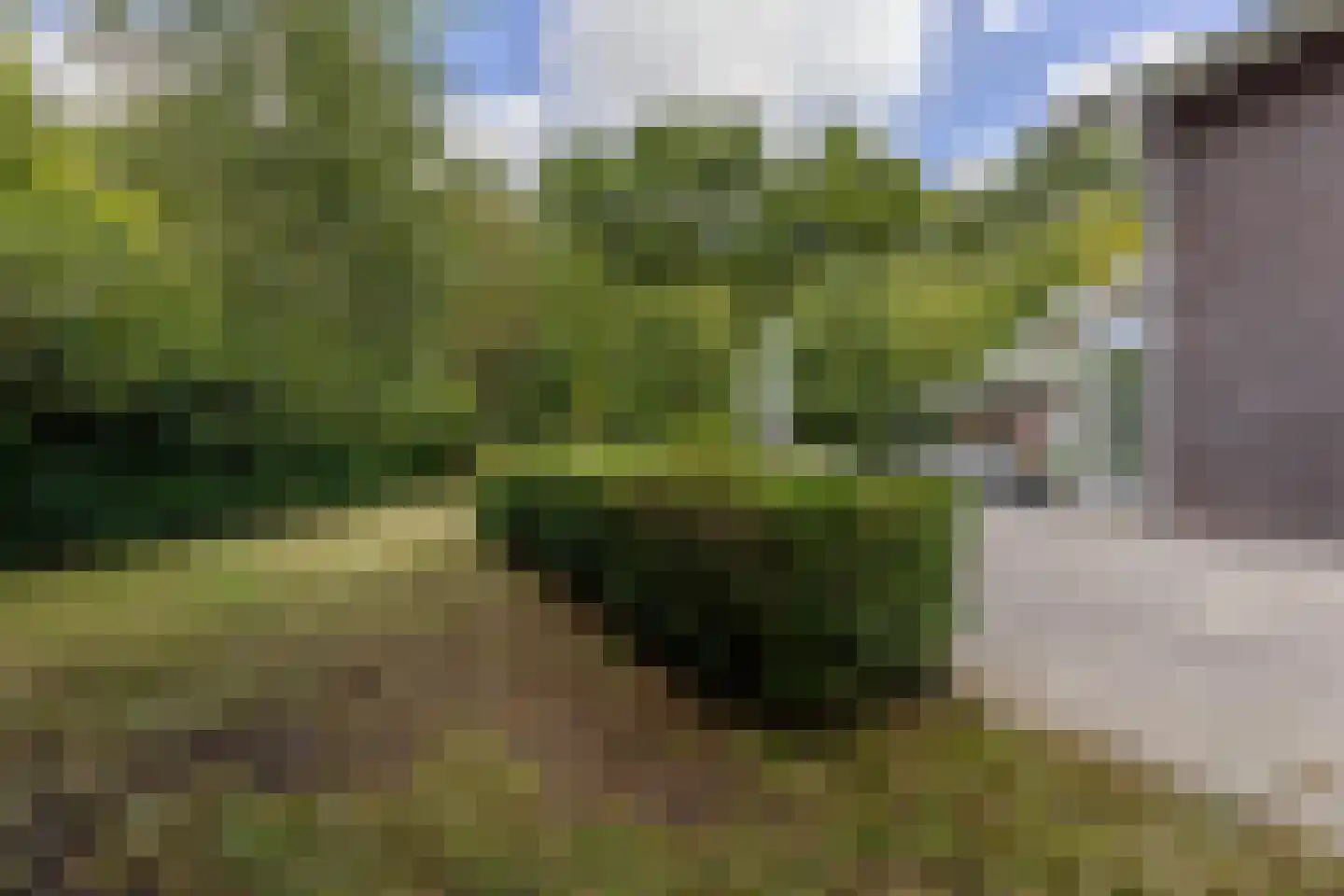 Fjelddal 9 Schiedam thumbnail 34