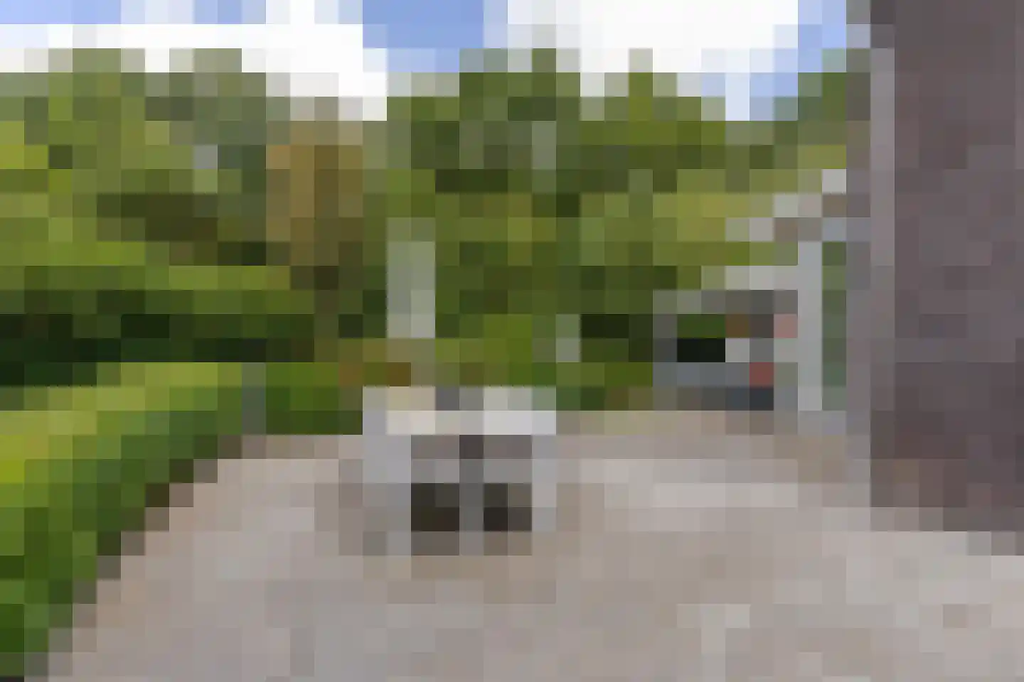 Fjelddal 9 Schiedam thumbnail 36