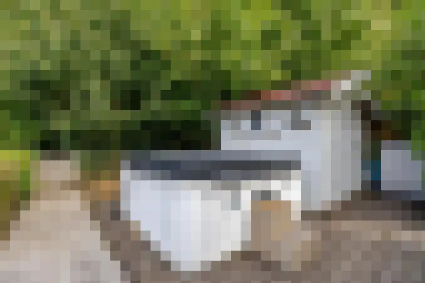 Fjelddal 9 Schiedam thumbnail 39