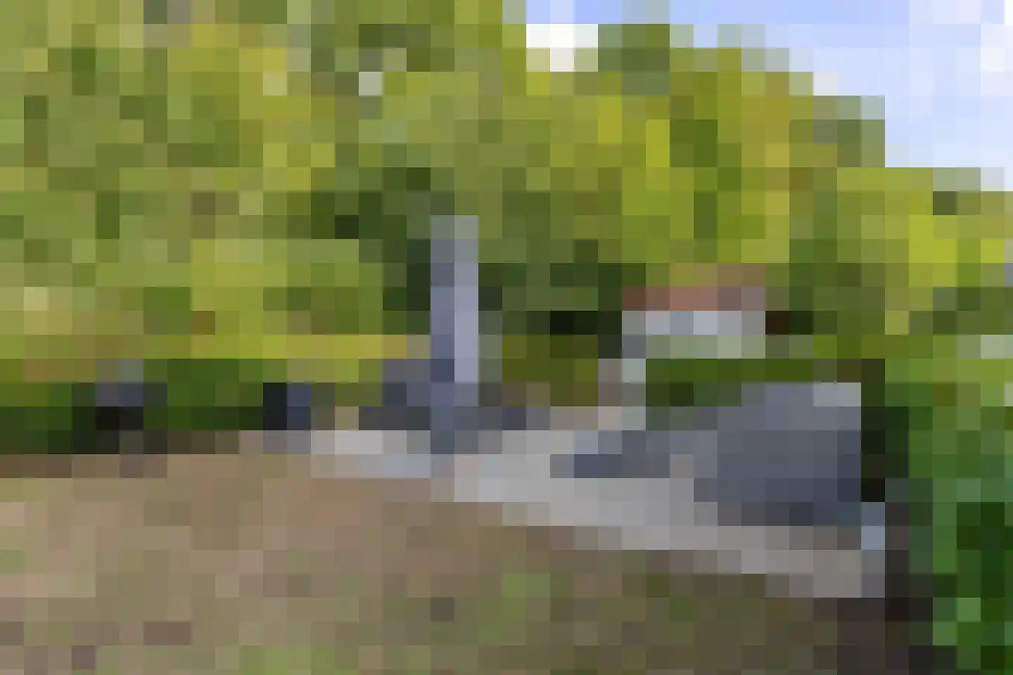 Fjelddal 9 Schiedam thumbnail 40