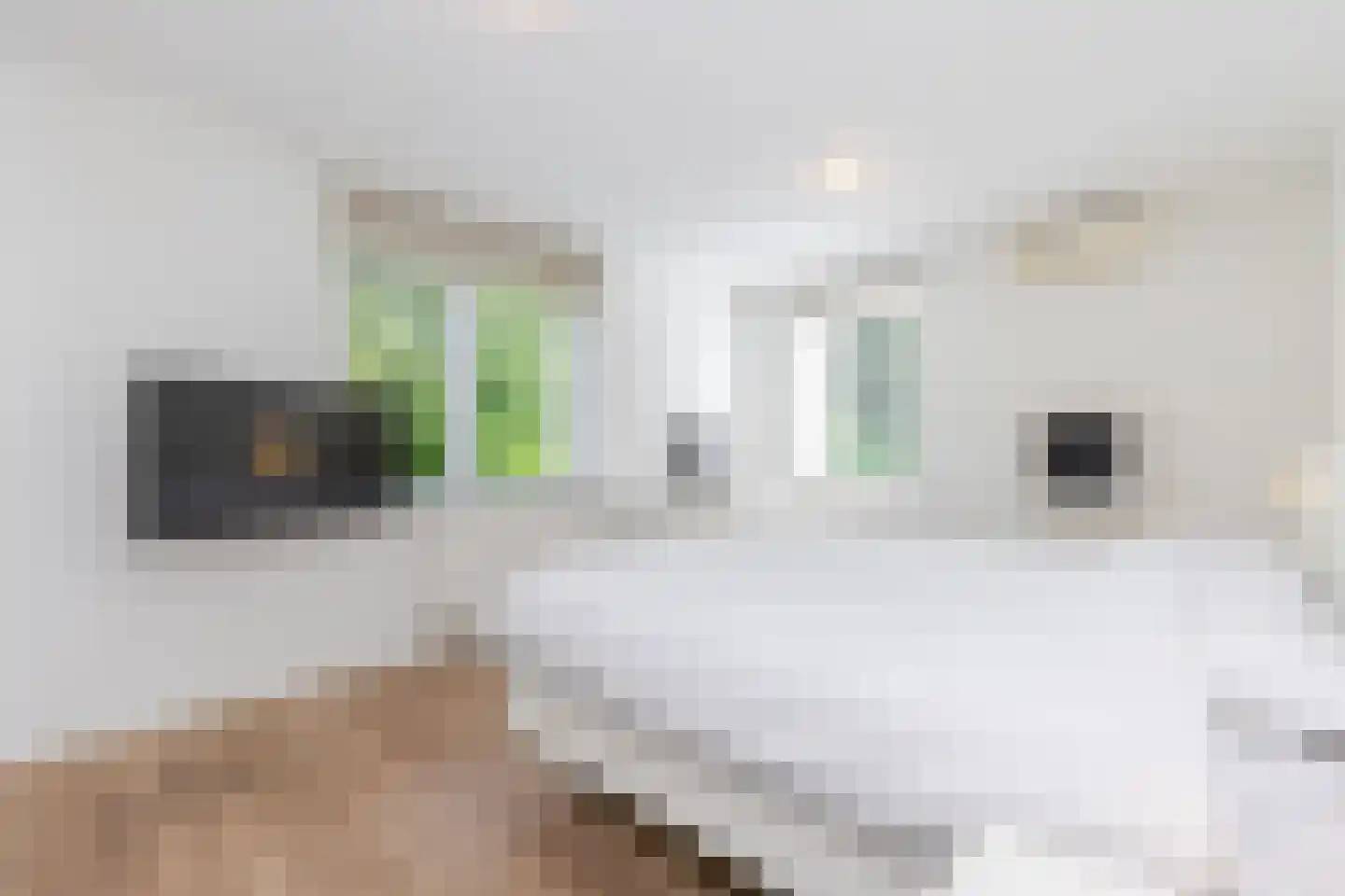 Fjelddal 9 Schiedam thumbnail 47