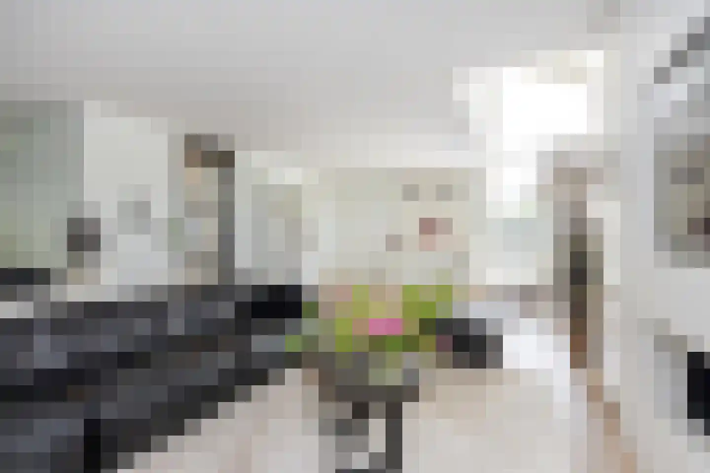 Fjelddal 9 Schiedam thumbnail 5