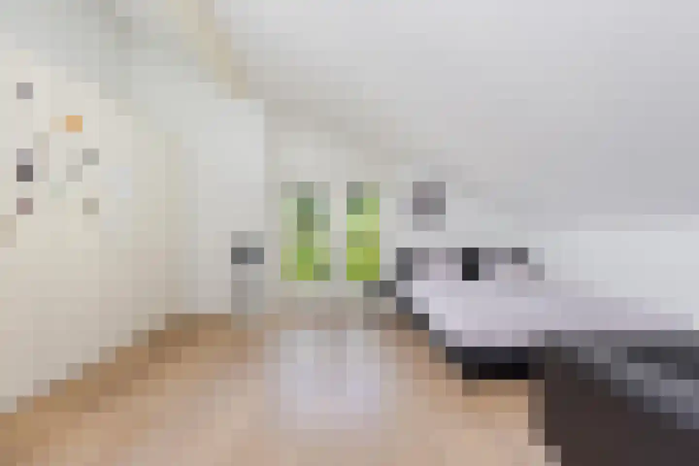 Fjelddal 9 Schiedam thumbnail 59