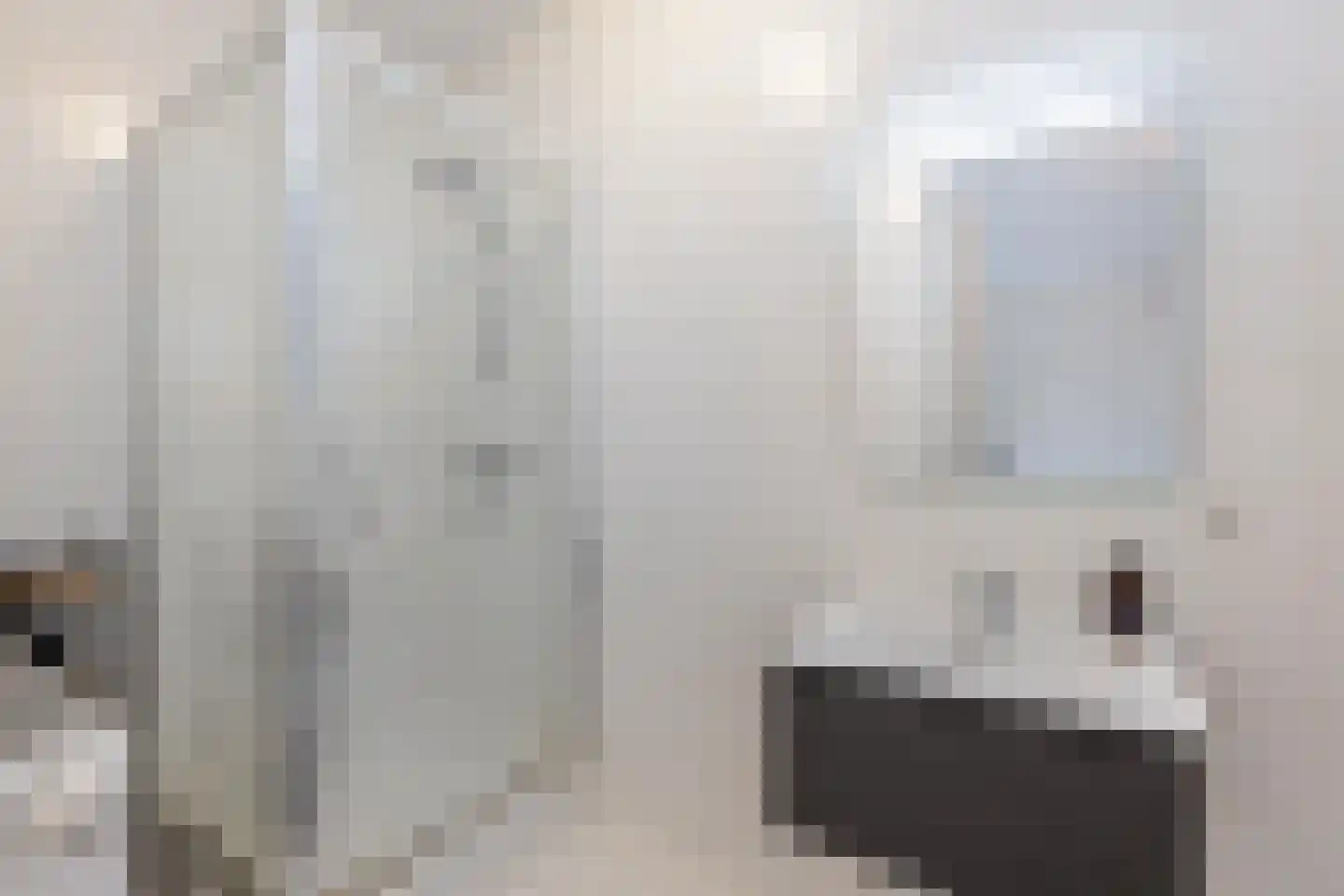 Fjelddal 9 Schiedam thumbnail 63
