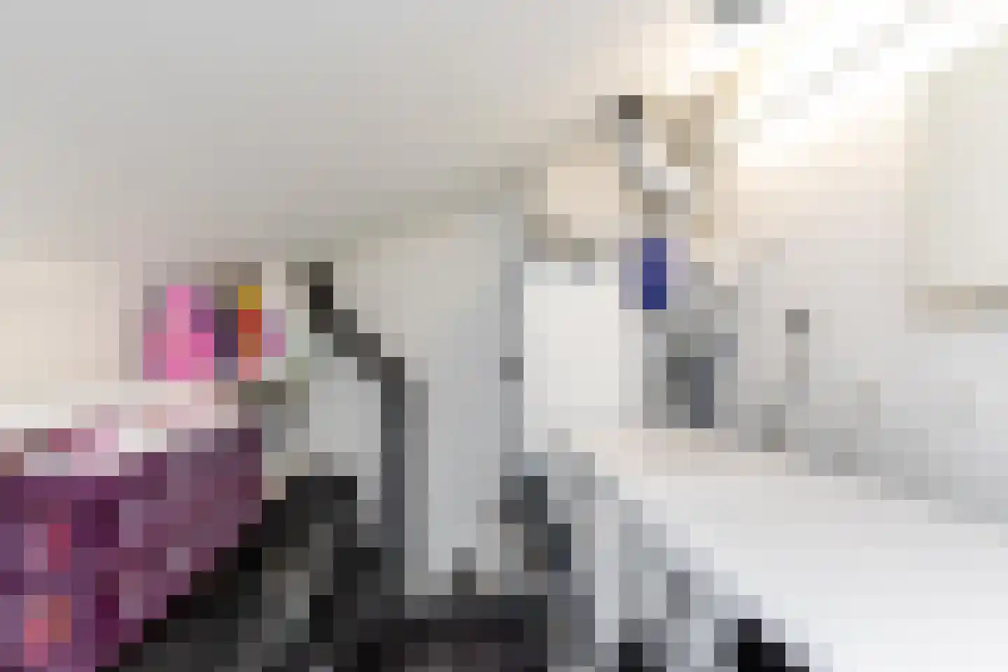 Fjelddal 9 Schiedam thumbnail 65