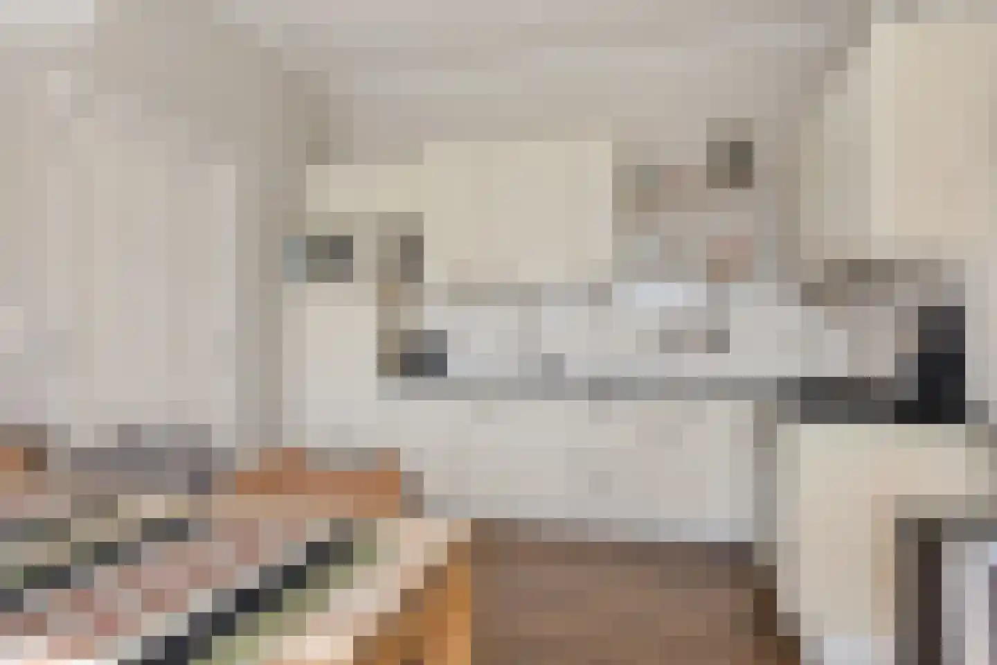 Fjildbuorsterwei 9 Brantgum thumbnail 13