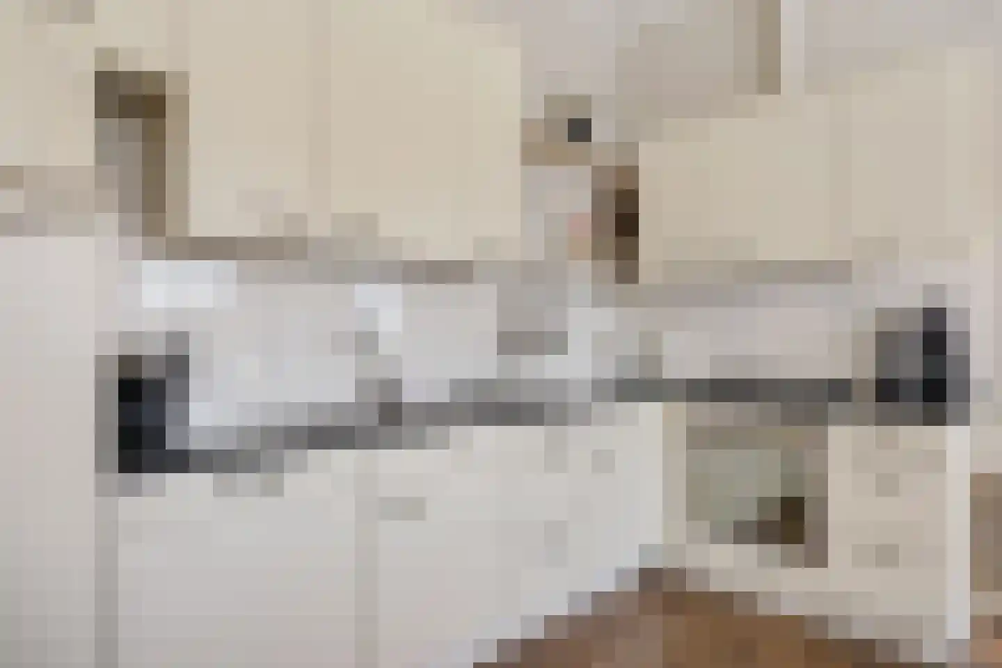 Fjildbuorsterwei 9 Brantgum thumbnail 14