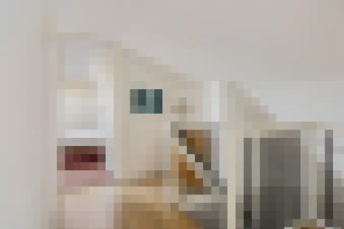 Fjildbuorsterwei 9 Brantgum thumbnail 19