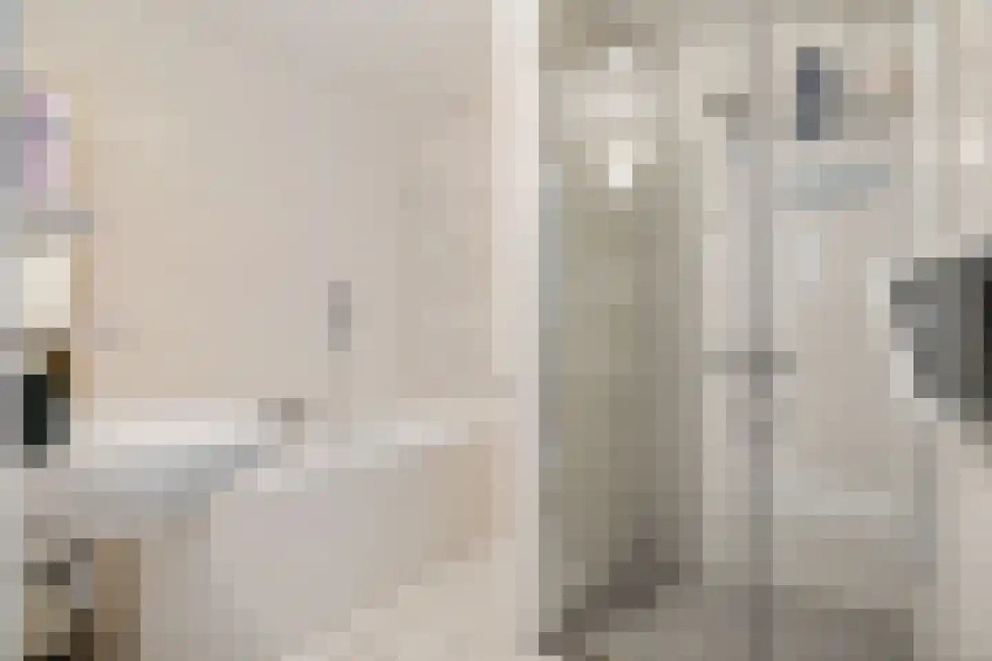 Fjildbuorsterwei 9 Brantgum thumbnail 31