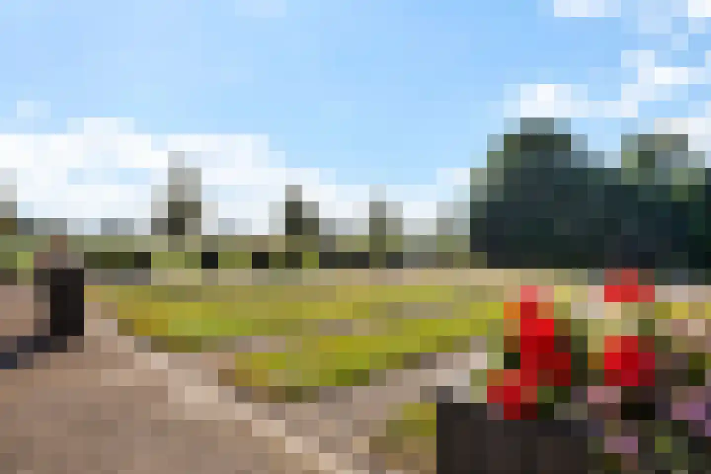 Fjildbuorsterwei 9 Brantgum thumbnail 37