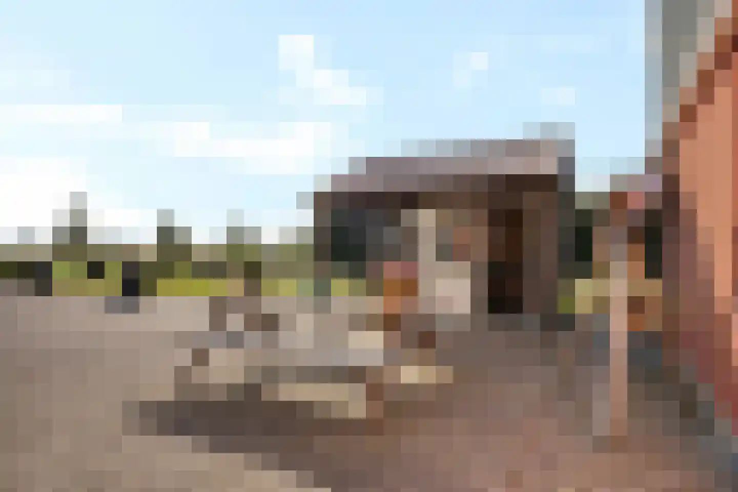 Fjildbuorsterwei 9 Brantgum thumbnail 38
