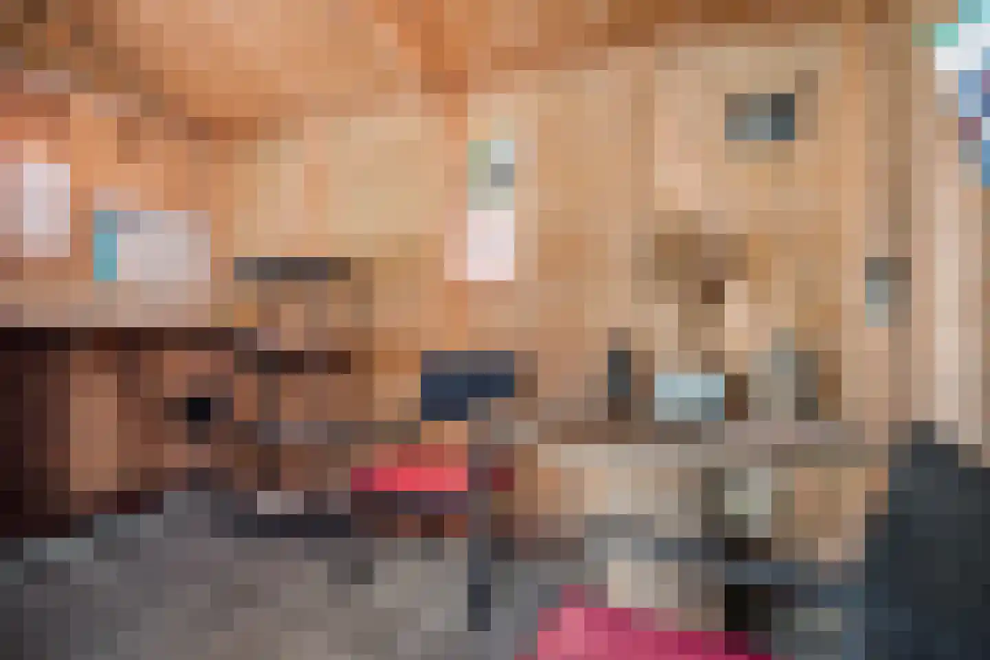 Fjildbuorsterwei 9 Brantgum thumbnail 39