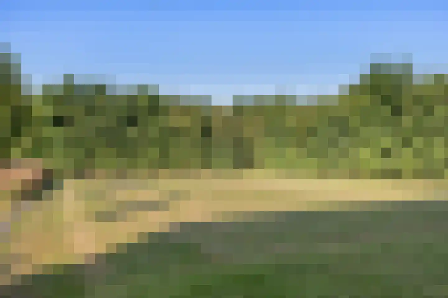 Fjildbuorsterwei 9 Brantgum thumbnail 43