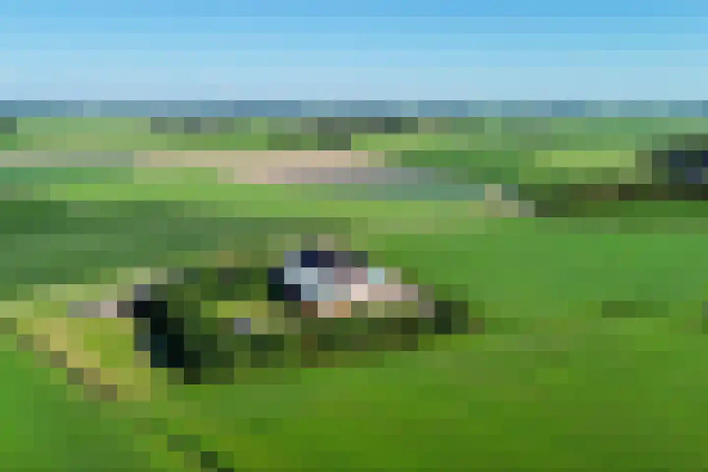 Fjildbuorsterwei 9 Brantgum thumbnail 47